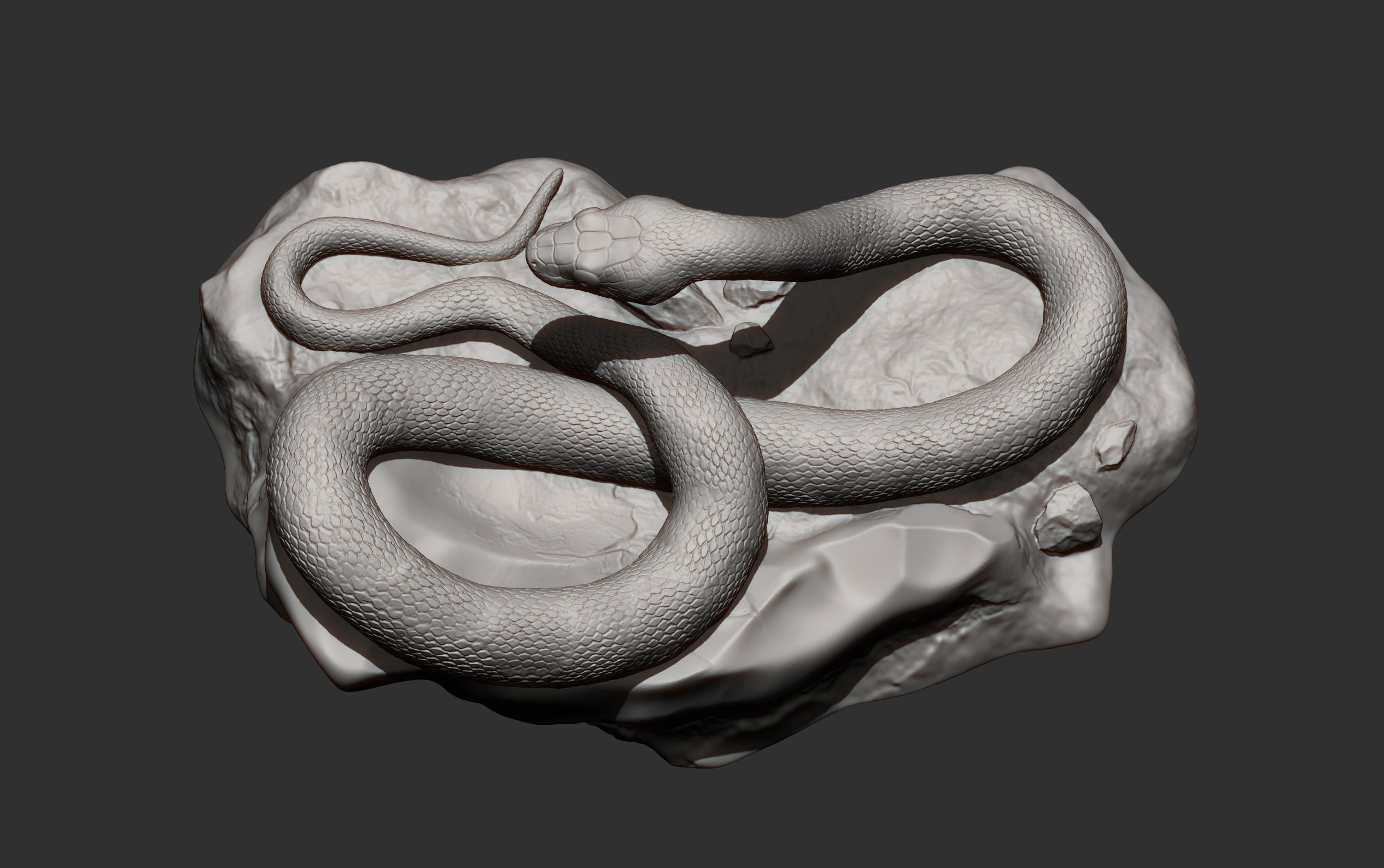 Trans-pecos rat snake 3D print model_12