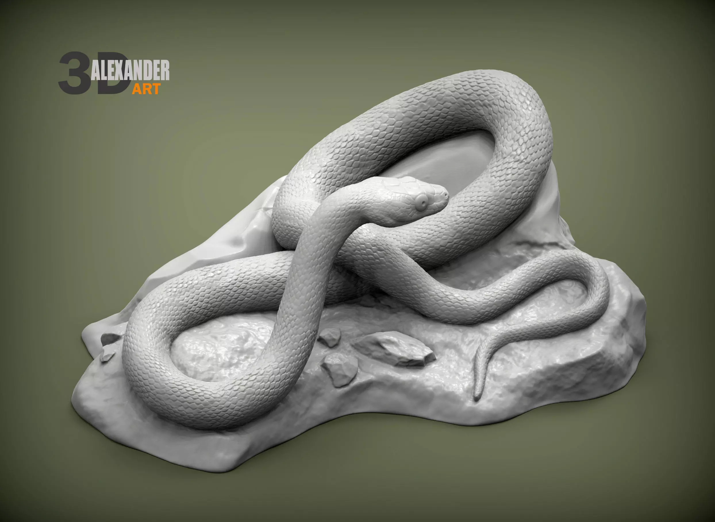 Trans-pecos rat snake 3D print model_0