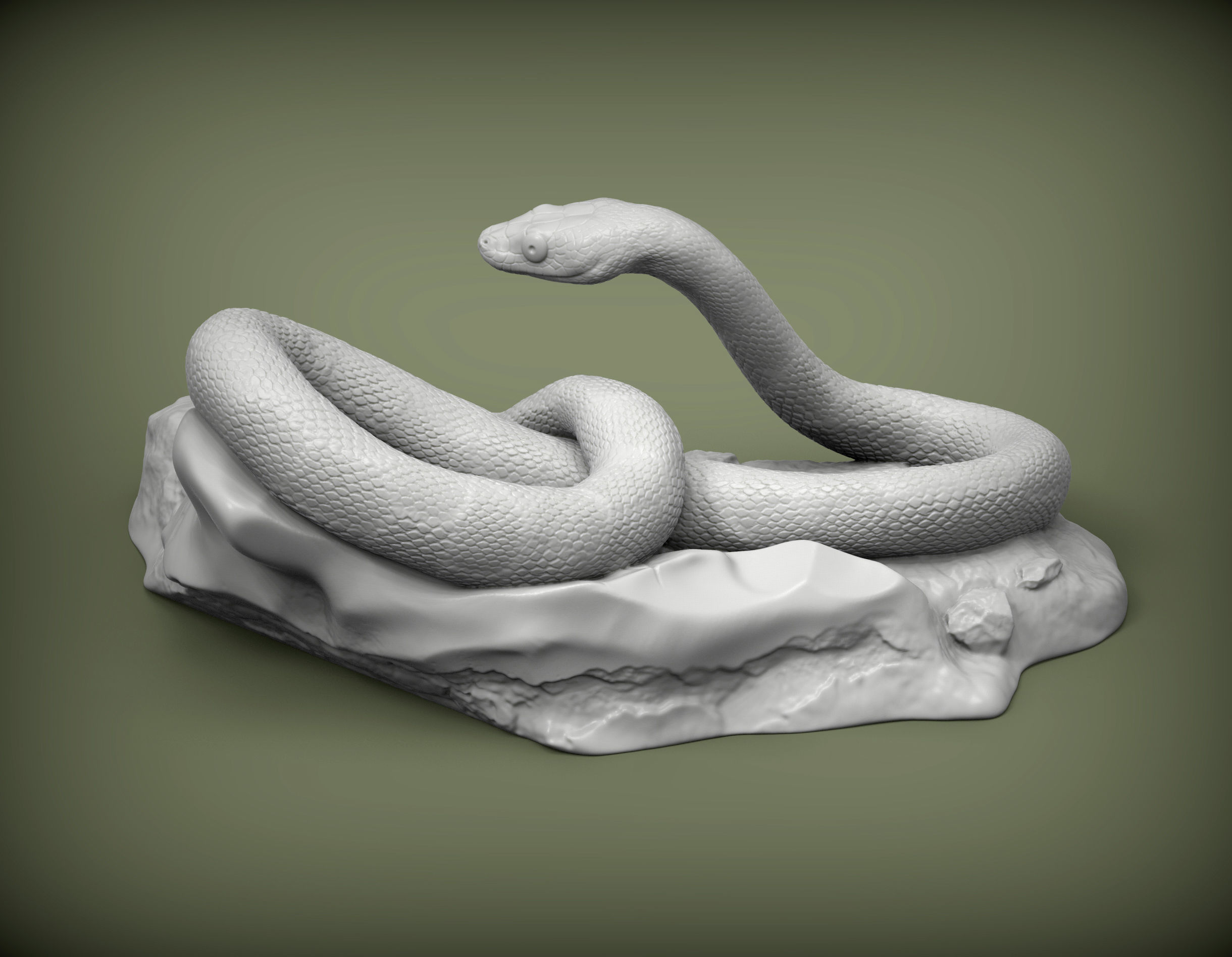 Trans-pecos rat snake 3D print model_2