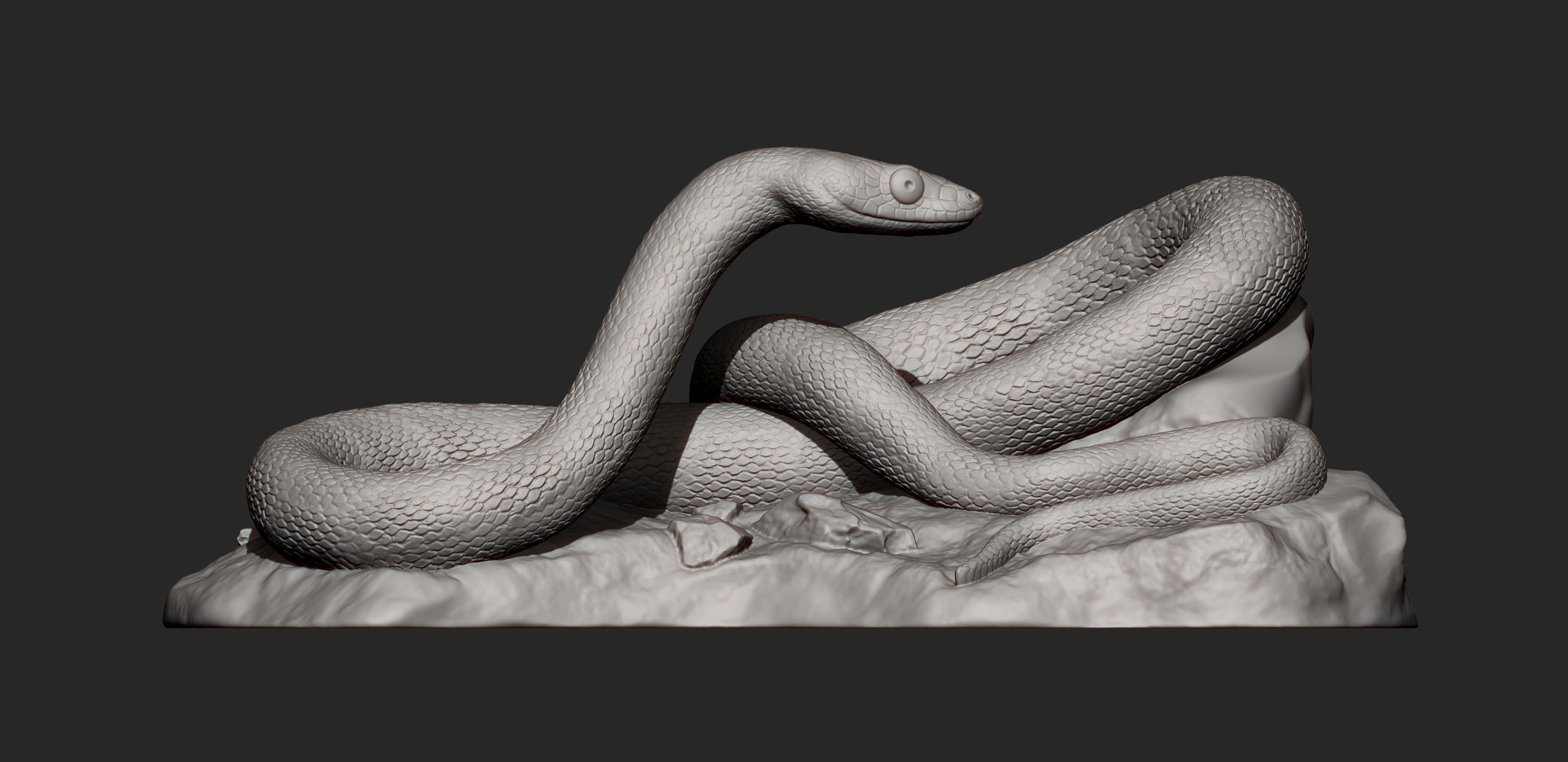 Trans-pecos rat snake 3D print model_7