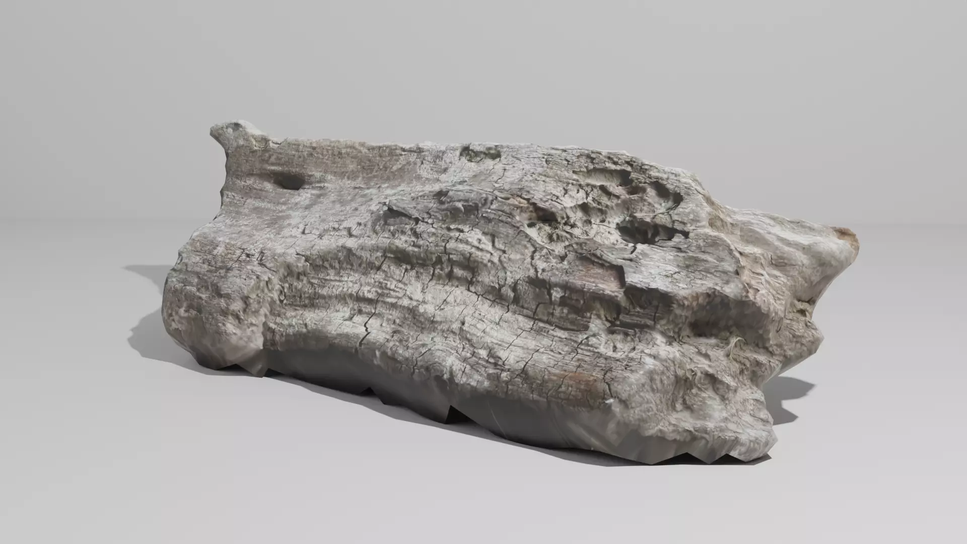 Driftwood 3D model_0