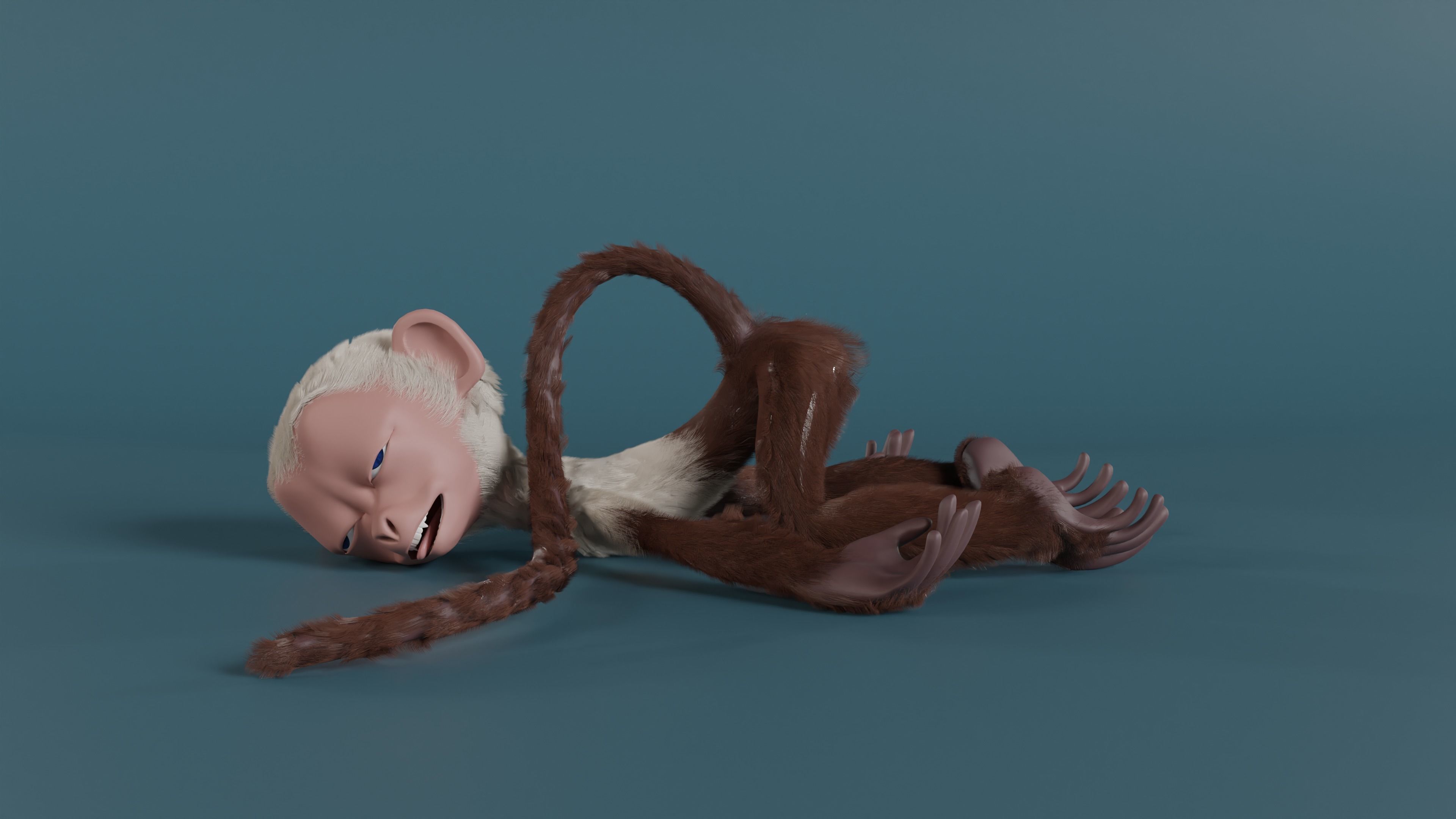 Doug the Fully Rigged Fully Customizable Capuchin Monkey 3D model_5