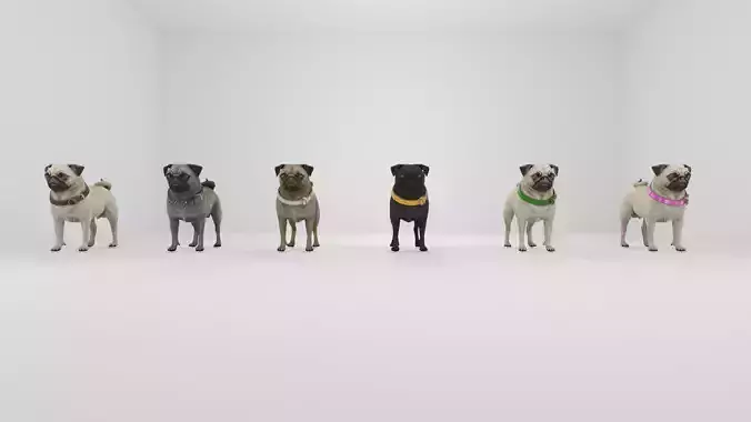 Dog Pug Pack Low-poly 3D model
