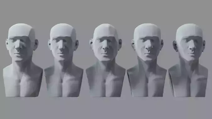 Stylized Head Ecorche