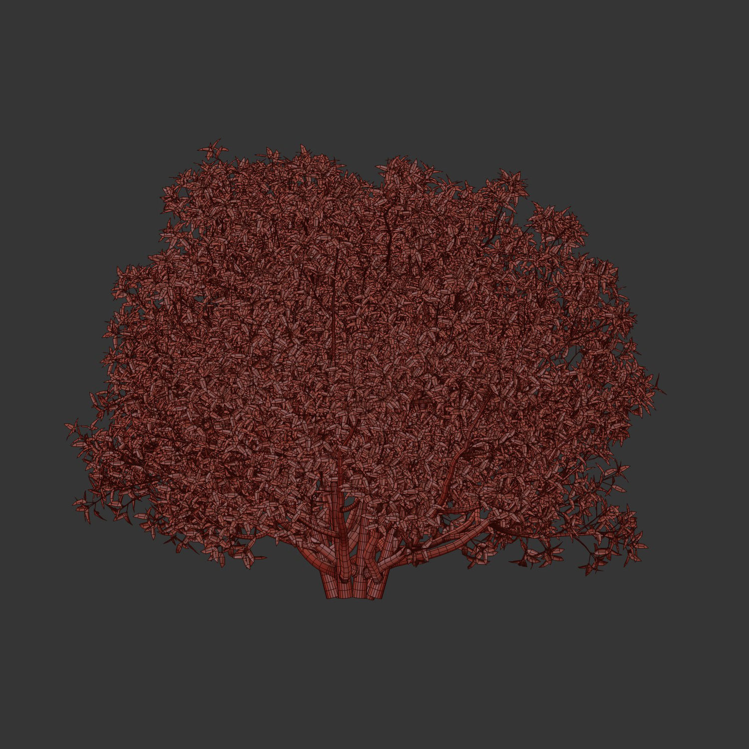 Bushes collection vol 191 3D model_6