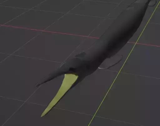 Clidastes - prehistoric sea monster