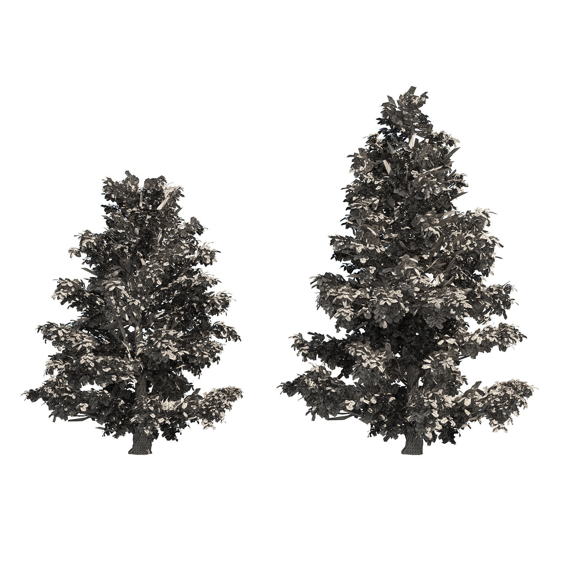 Scrub holly trees with red berries Low-poly 3D model_5