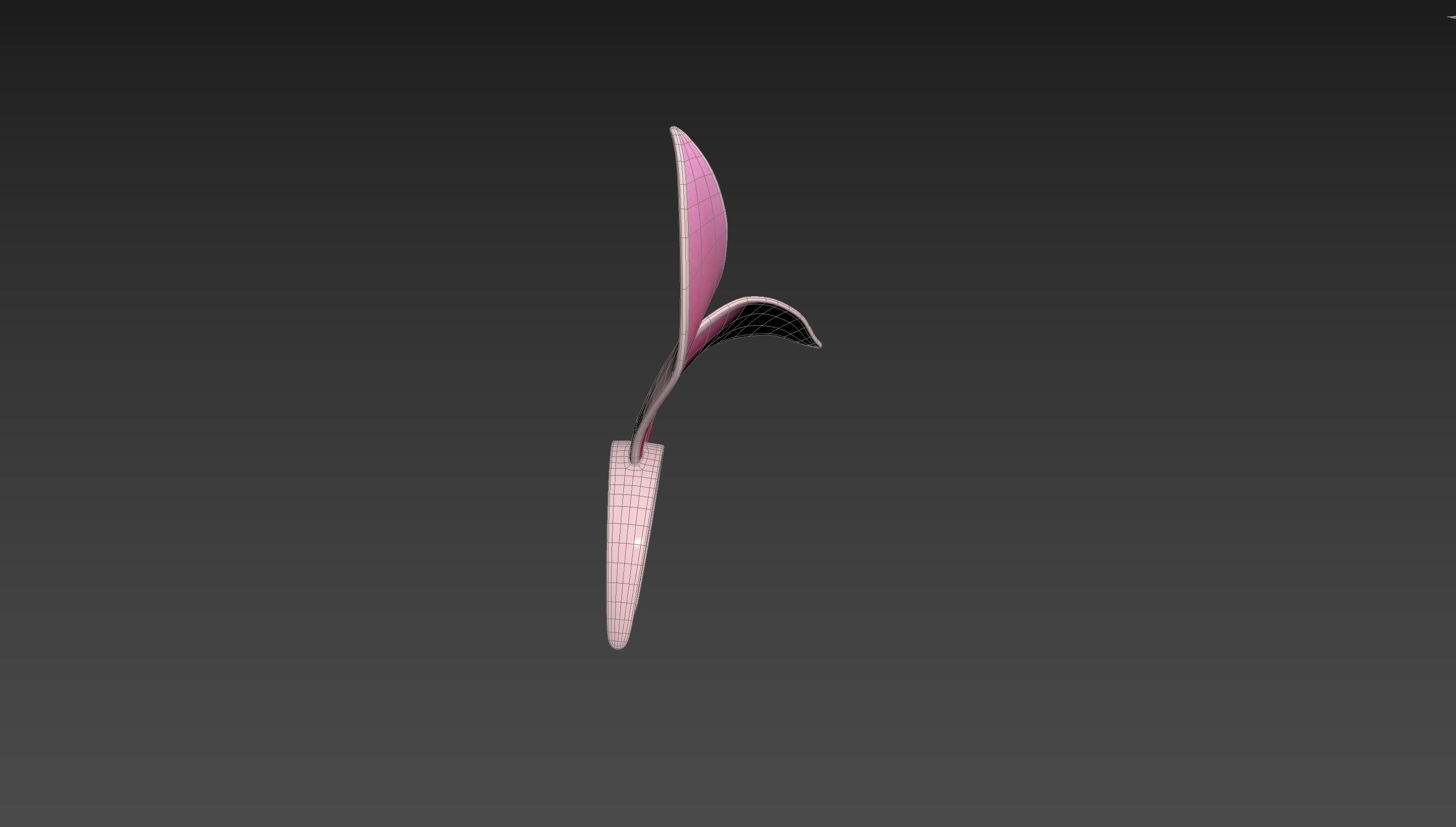 Headband008 Bunny Headband 3D model_16