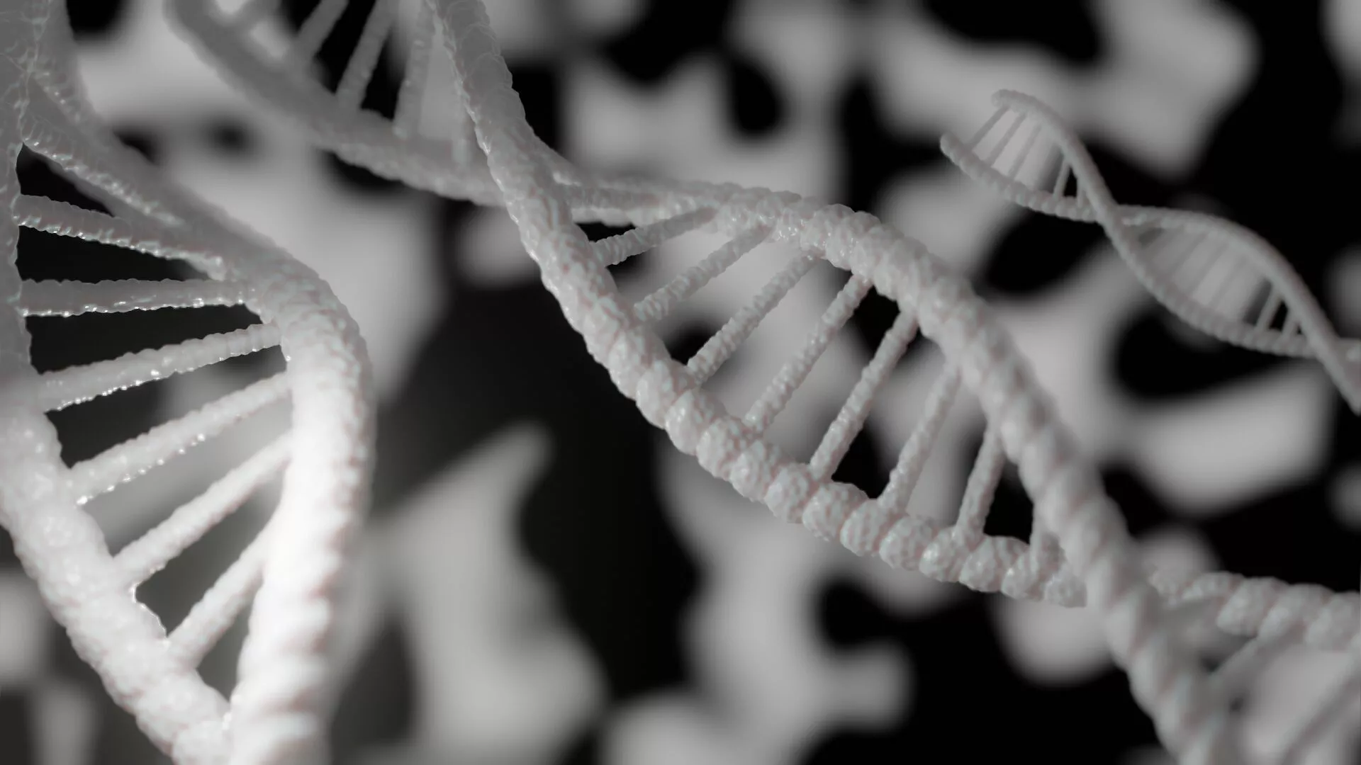 DNA or Deoxyribonucleic Acid in Rotation 3D model