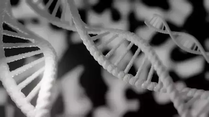 DNA or Deoxyribonucleic Acid in Rotation 3D model