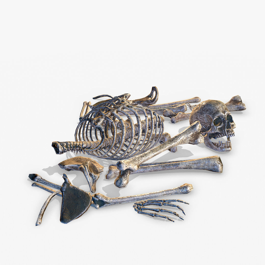  Old Human Bones  Low-poly 3D model_3