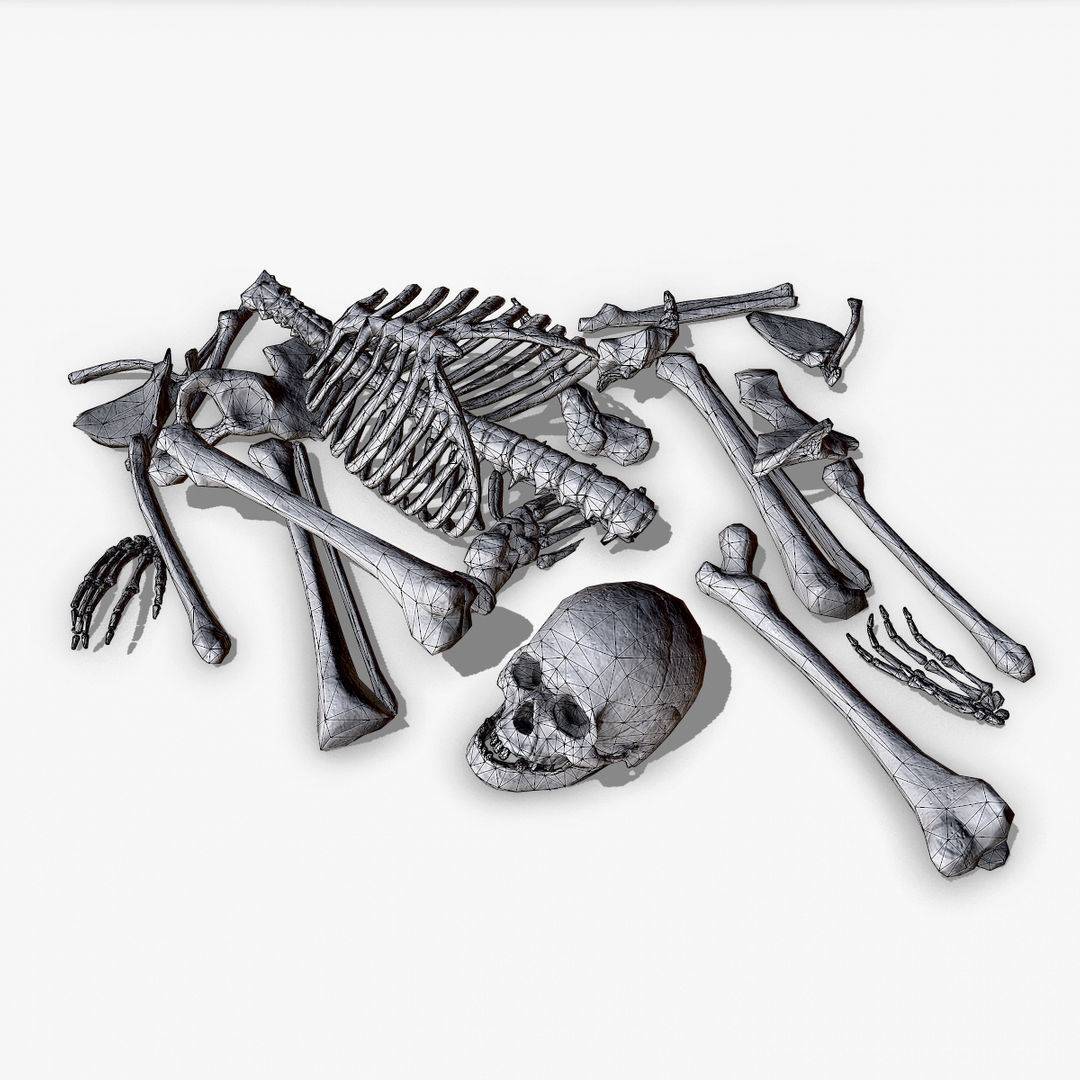  Old Human Bones  Low-poly 3D model_8
