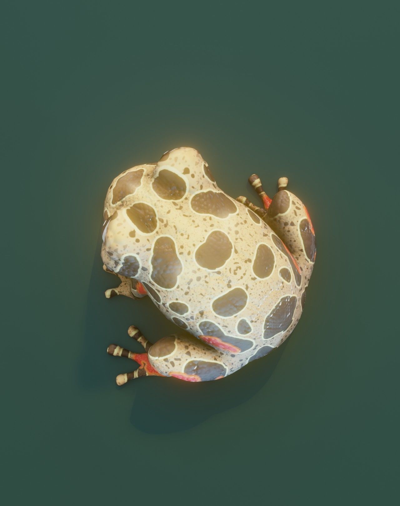 Cartoon Red-legged Frog Facial Expressions and 12 Animations Low-poly 3D model_15