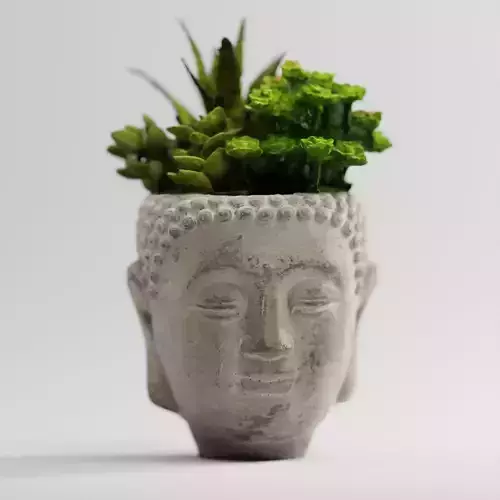 Buddah Head Plant Pot