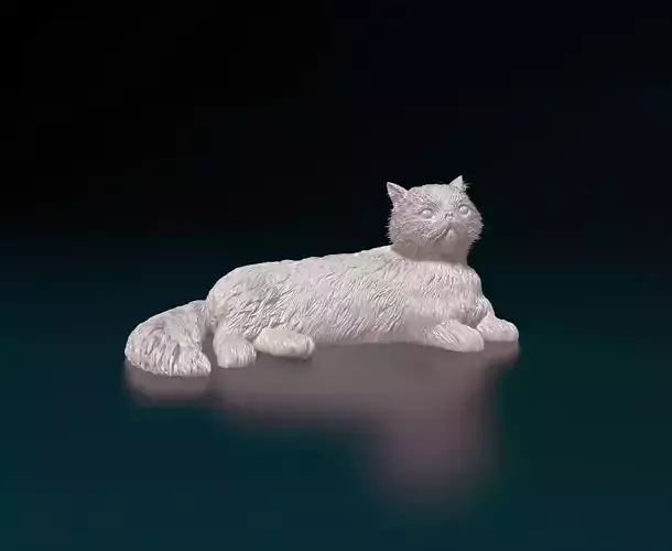 Persian Cat 3D print model