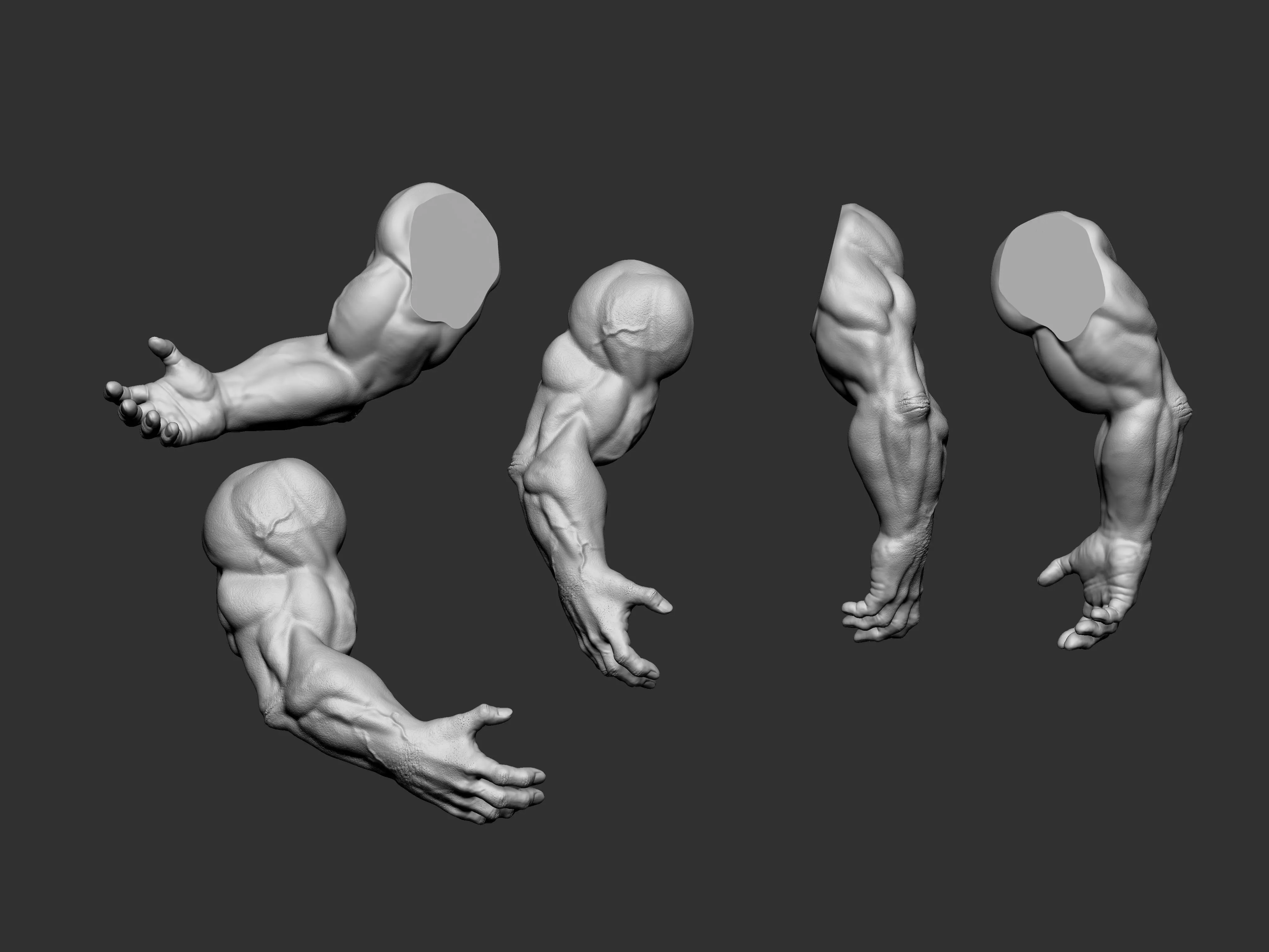 Arm basemesh 3D model_0