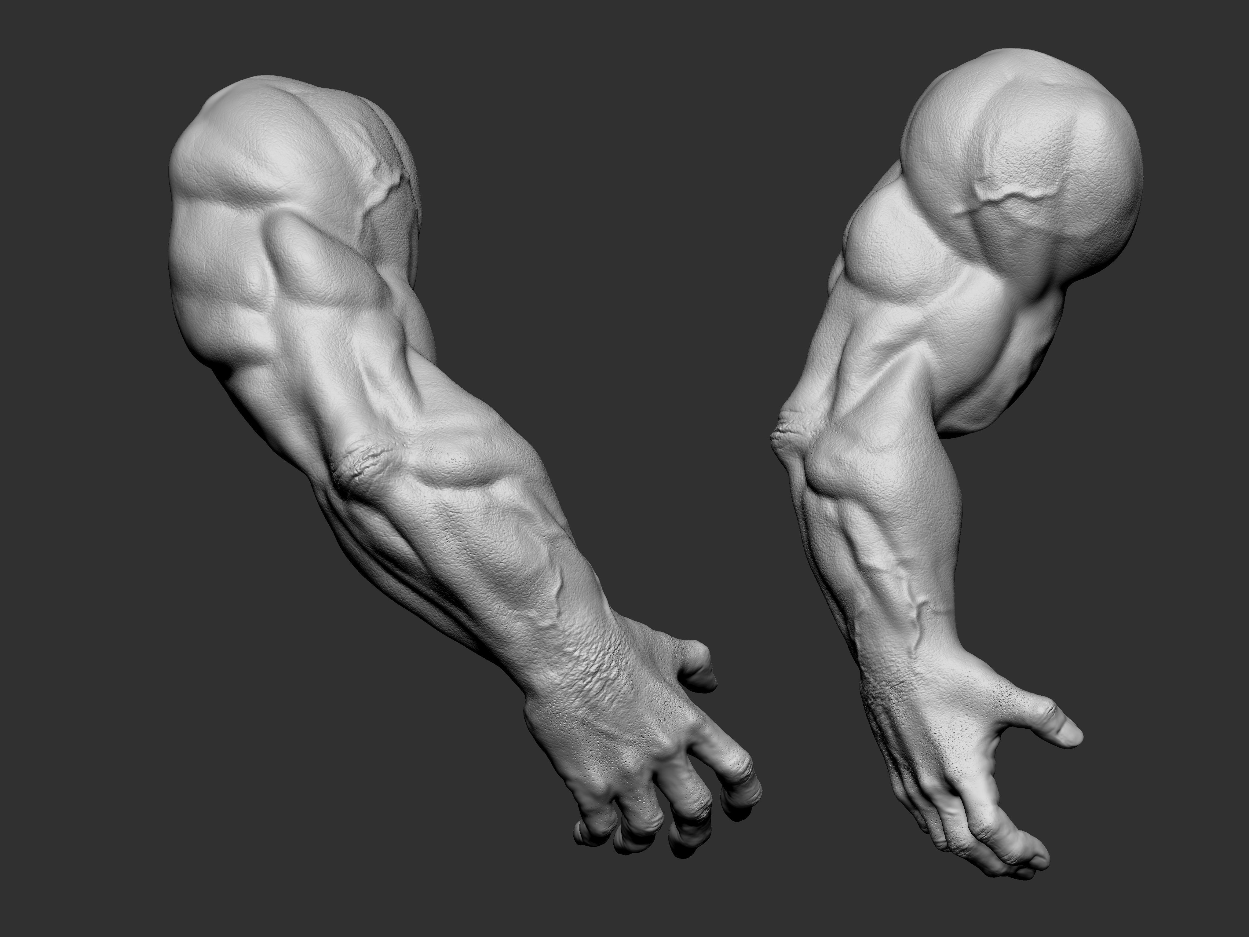 Arm basemesh 3D model_1