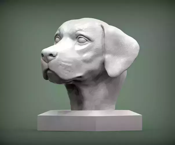 Labrador bust of dog 3D print model