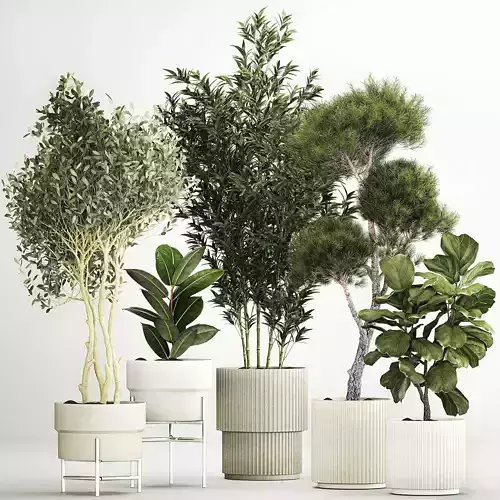 plants for the street and interior in concrete pots 1211 3D model