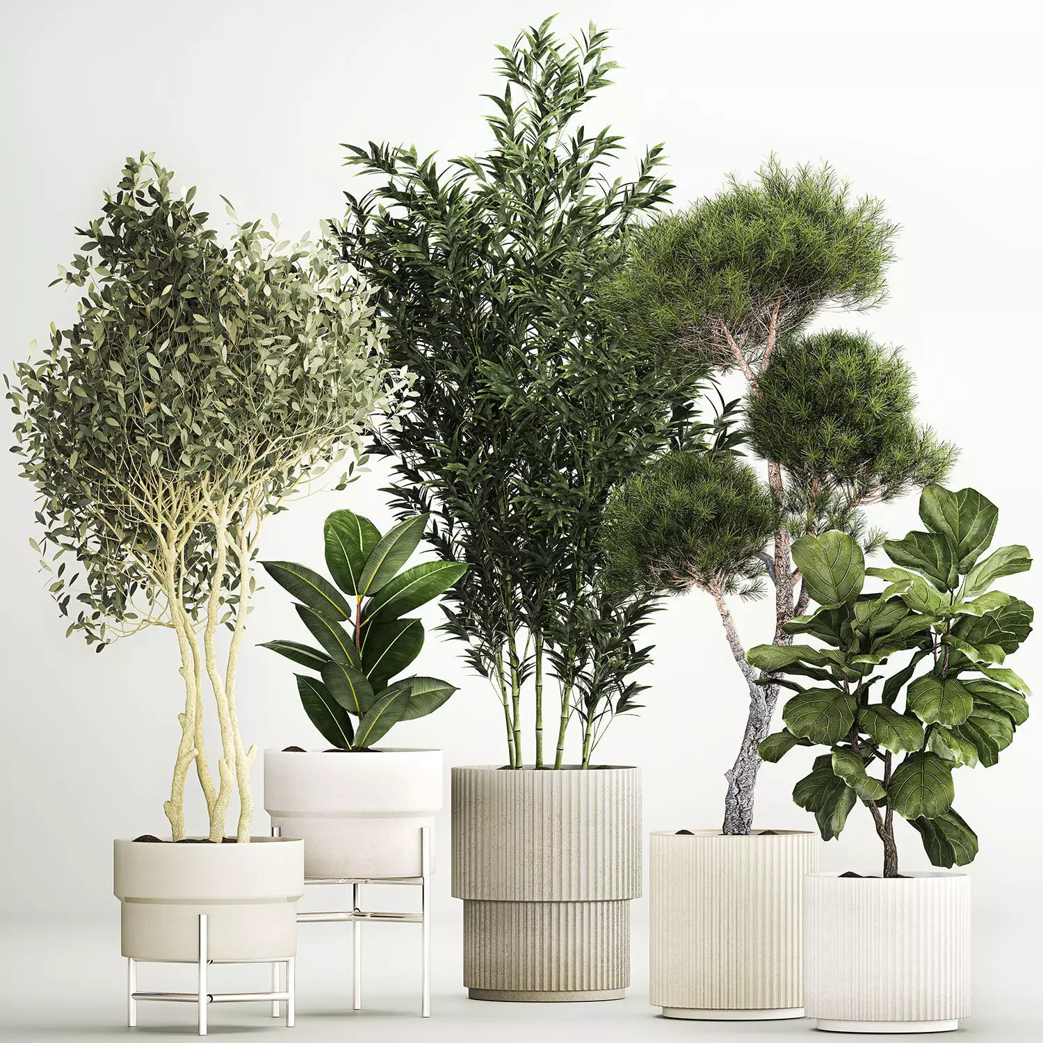 plants for the street and interior in concrete pots 1211 3D model_0