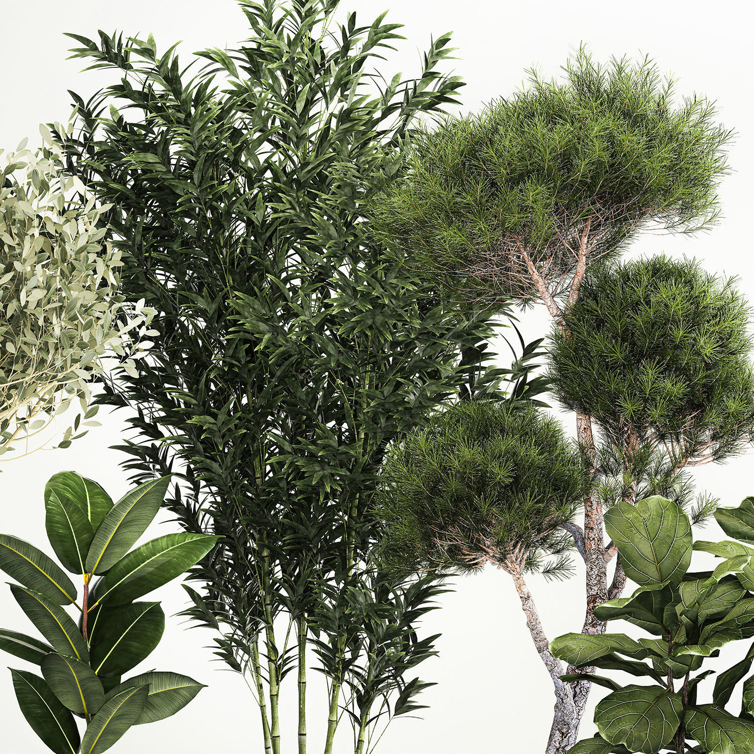 plants for the street and interior in concrete pots 1211 3D model_3