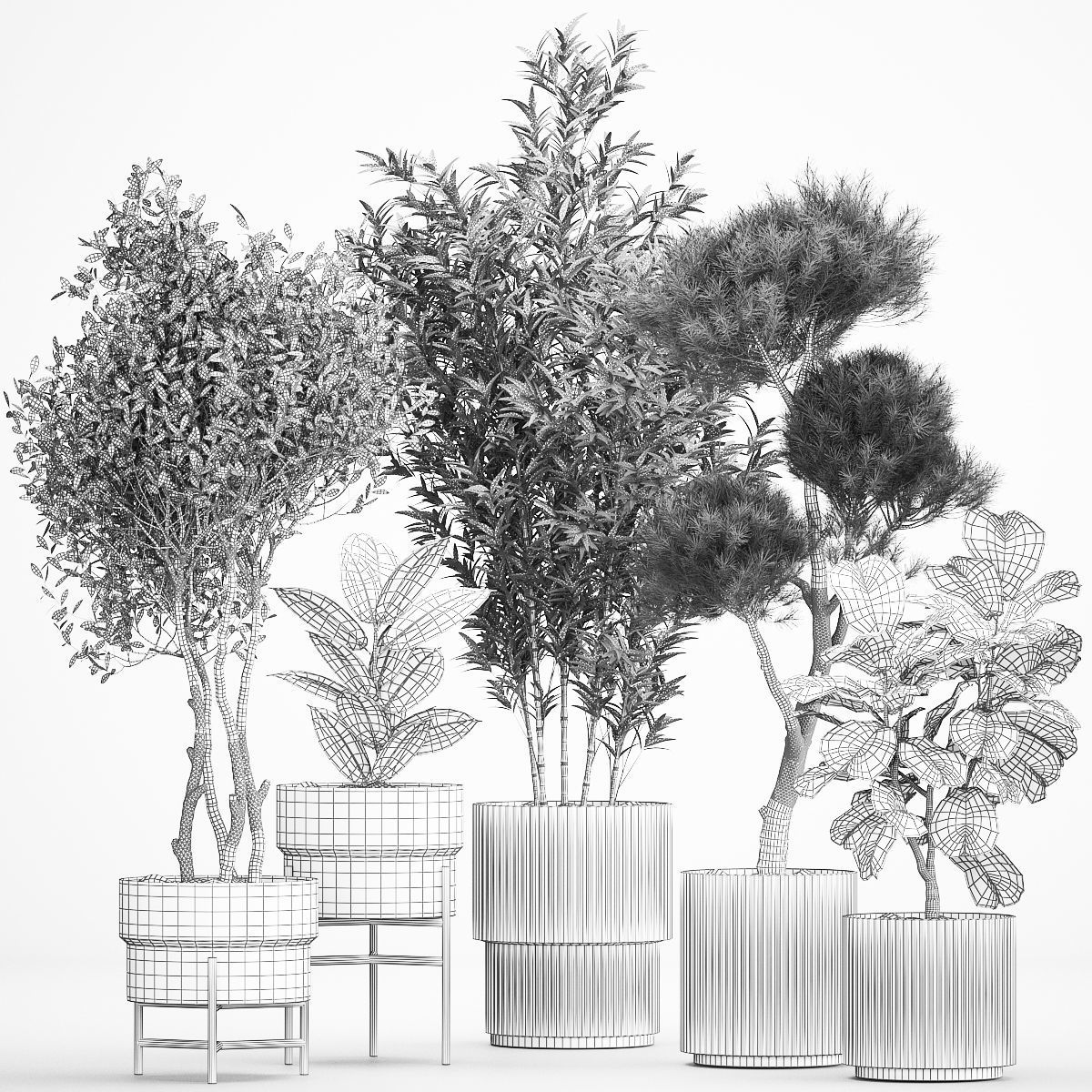 plants for the street and interior in concrete pots 1211 3D model_6
