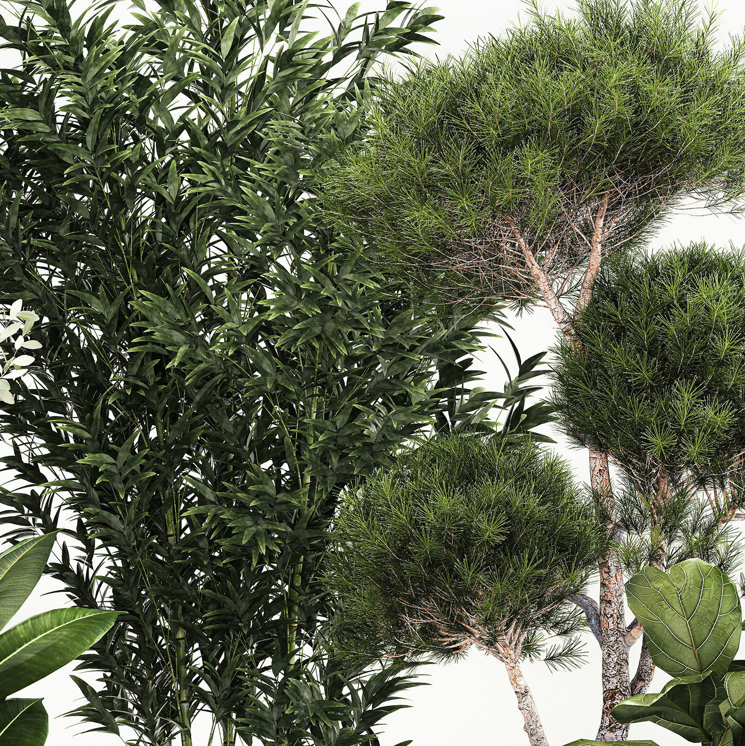 plants for the street and interior in concrete pots 1211 3D model_5