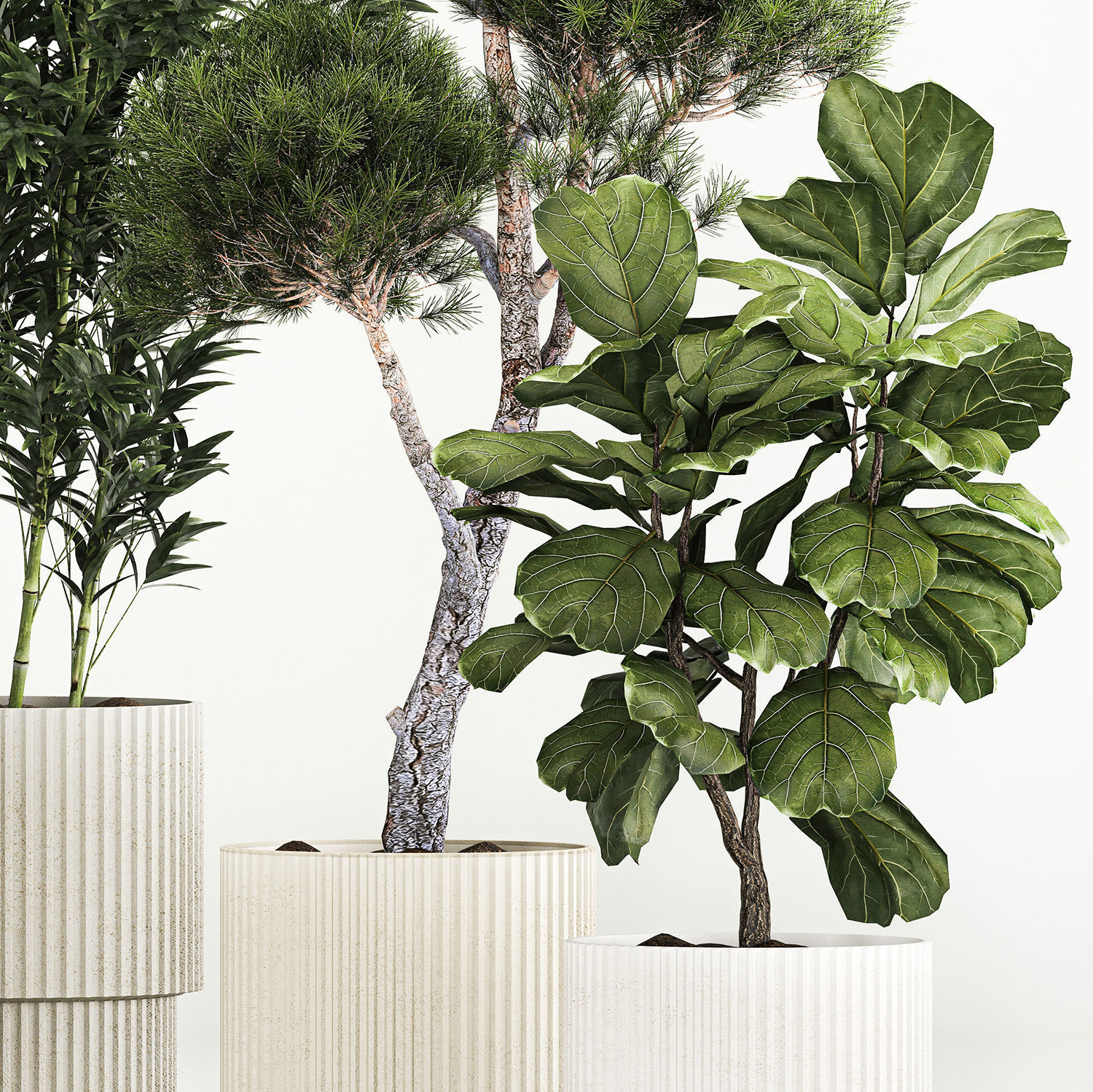 plants for the street and interior in concrete pots 1211 3D model_4