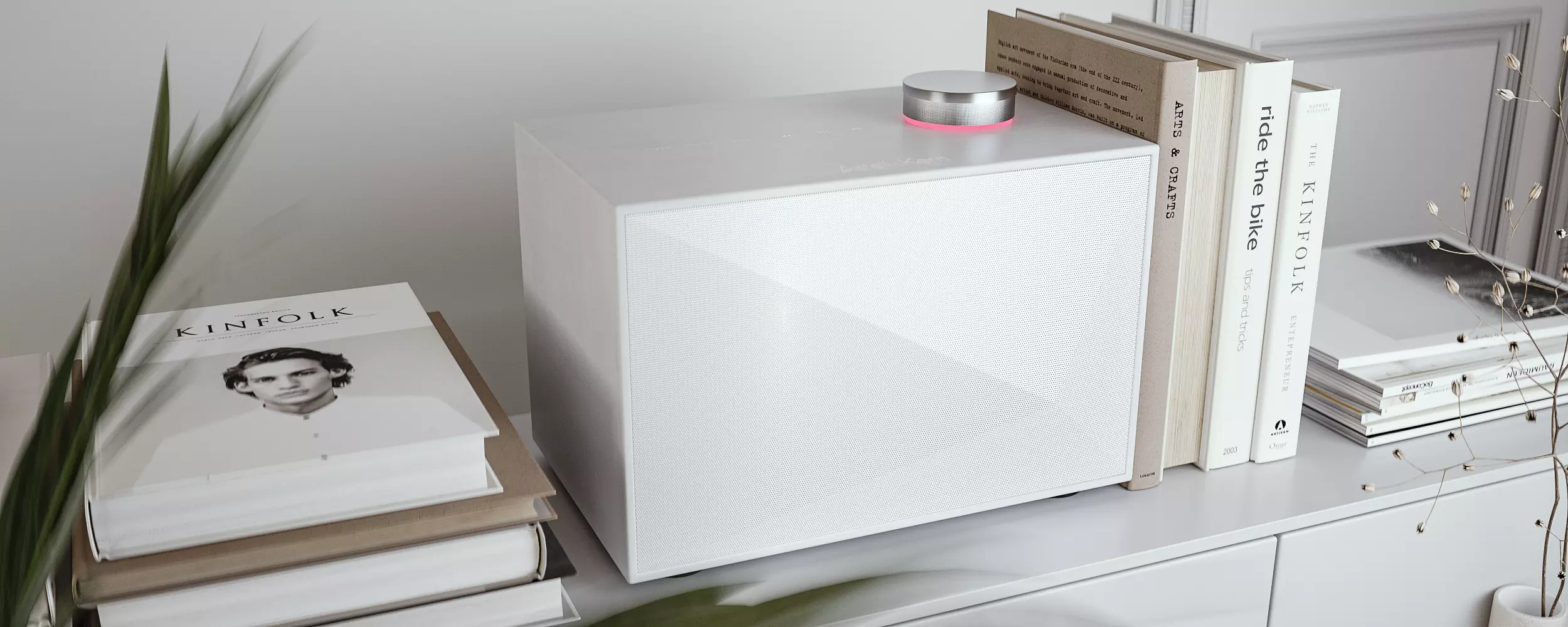 Astell and Kern ACRO BE100 - Bluetooth speaker 3D model_0