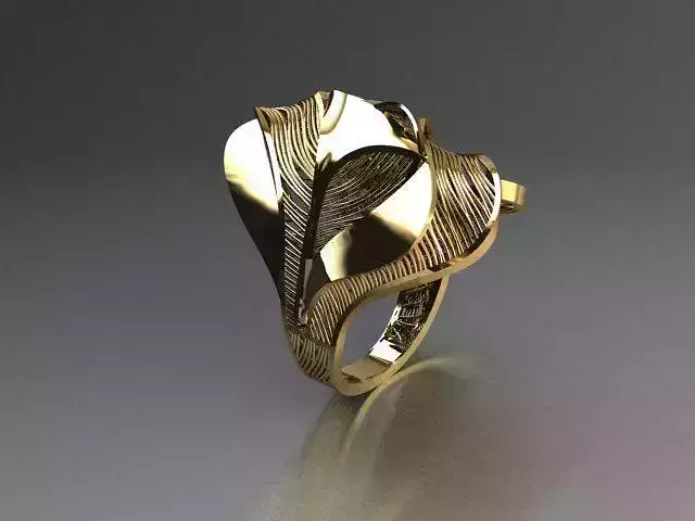 jewelry ring