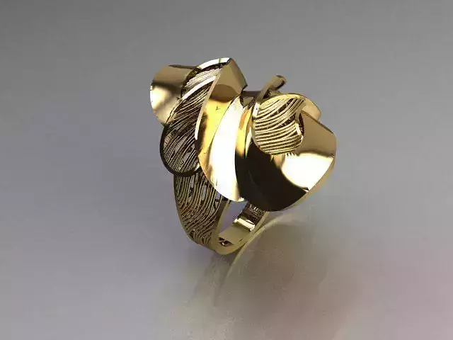 jewelry ring
