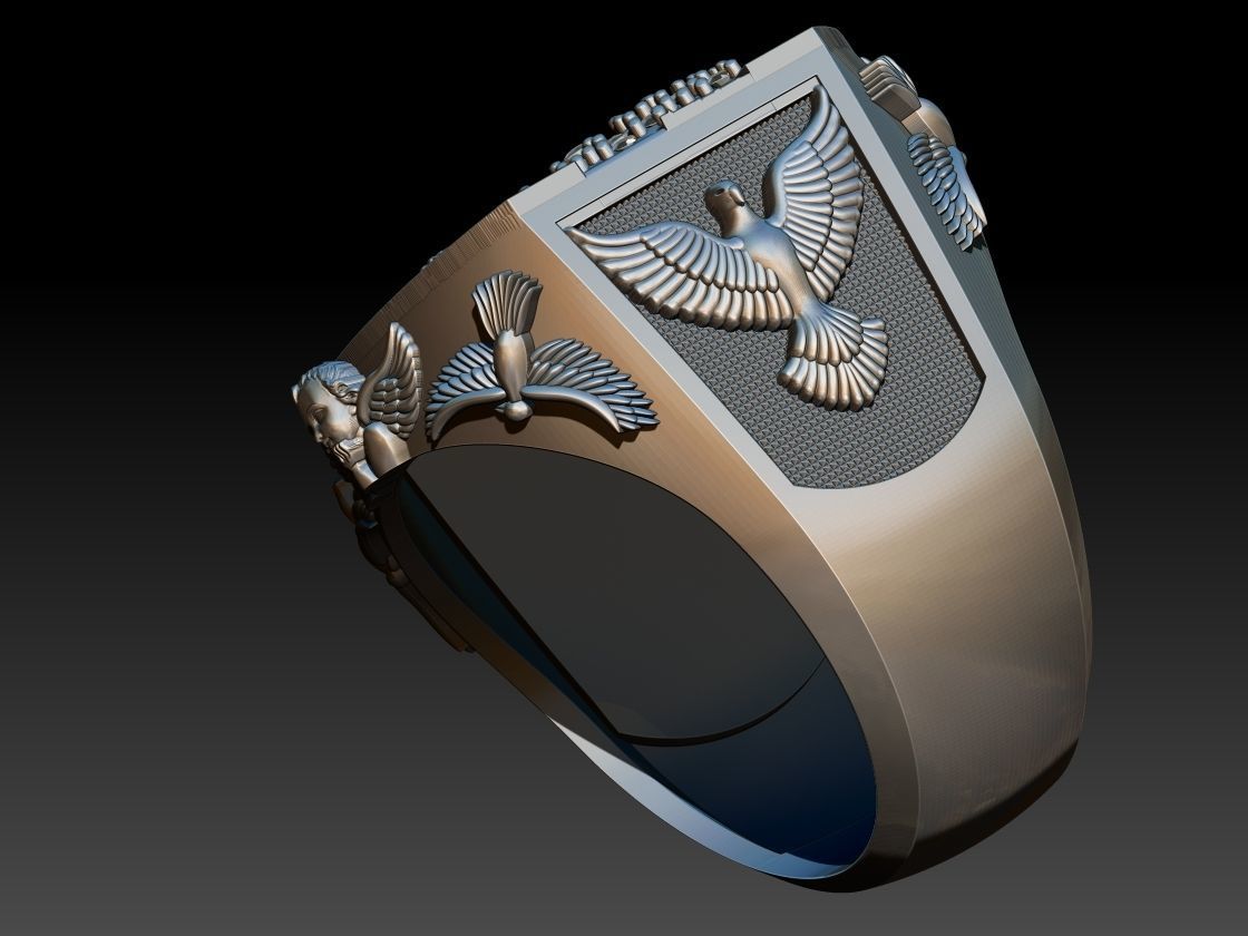 Our Lady of Aparecida Ring - Nossa Senhora 3D print model_16