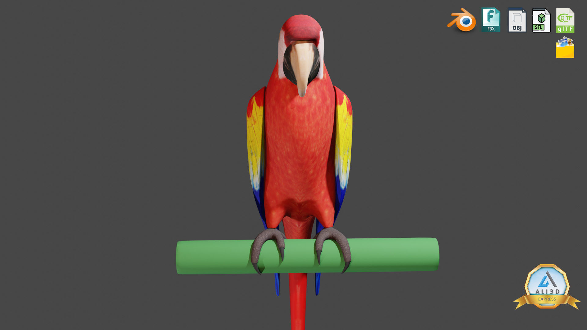 Cute Parrot with Real Textures Low-poly 3D model_1