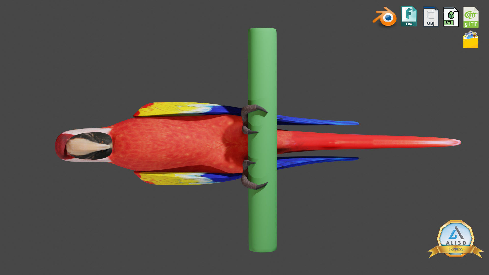 Cute Parrot with Real Textures Low-poly 3D model_4