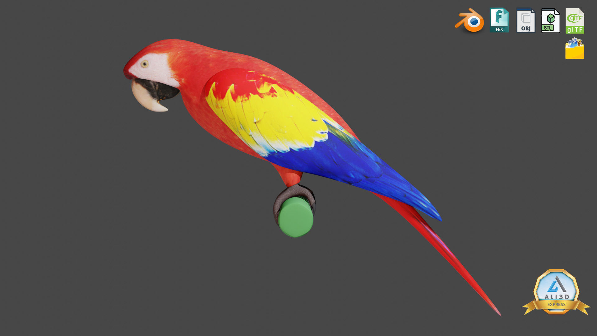 Cute Parrot with Real Textures Low-poly 3D model_2
