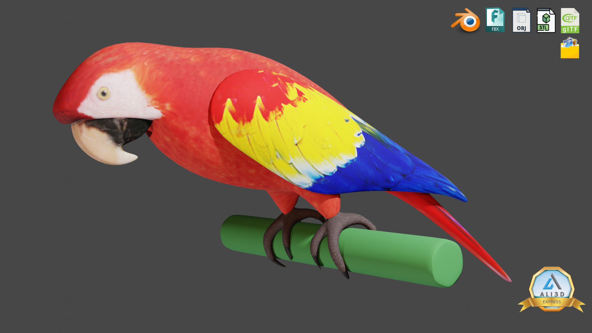 Cute Parrot with Real Textures Low-poly 3D model_5