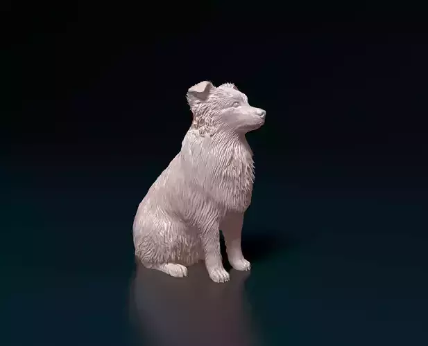 Aussie 5  3D print model