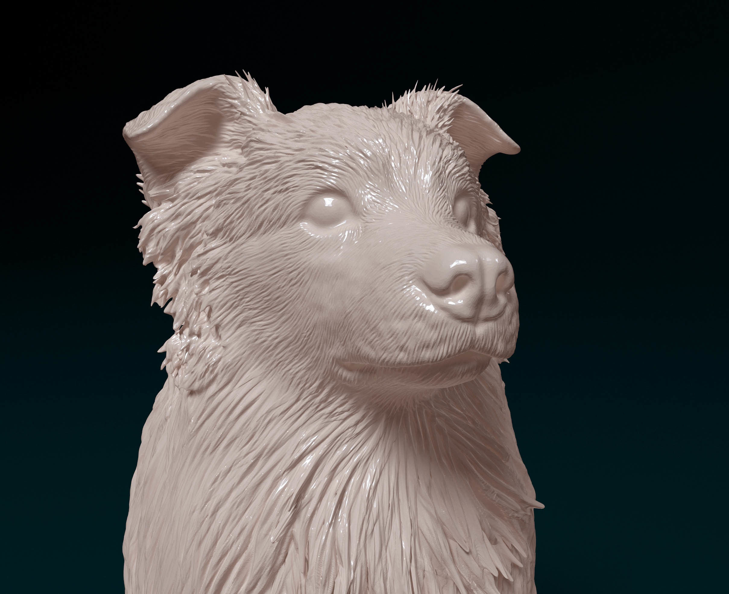 Aussie 5  3D print model_5