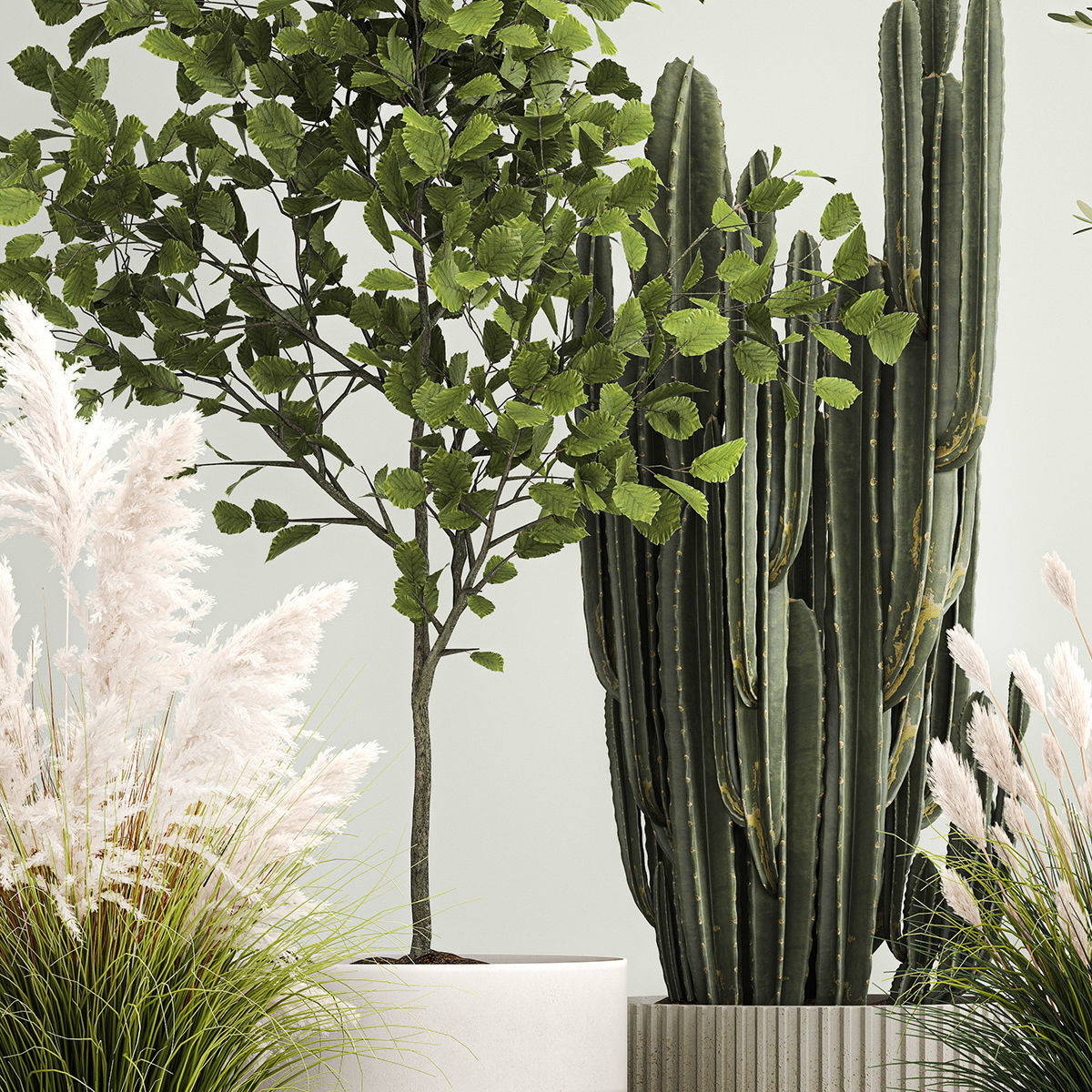 Plants for the street and interior in concrete pots 1212 3D model_5