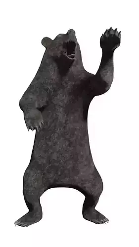 Bear Statue