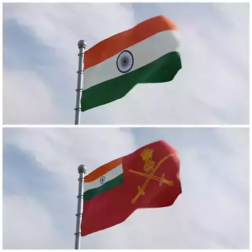 Animated India Flags 3D model