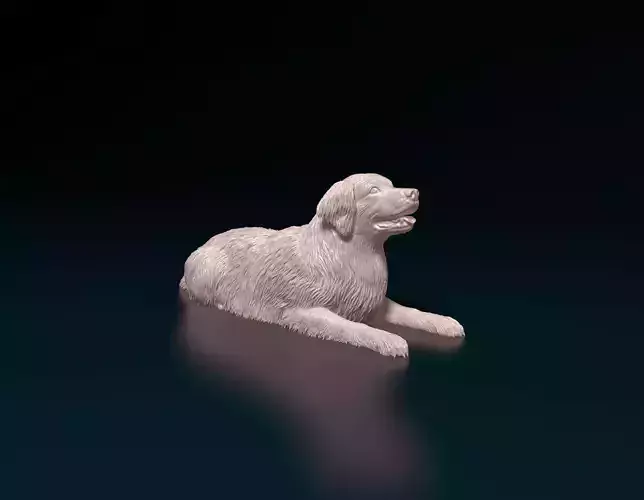 Golden retriever 6 3D print model