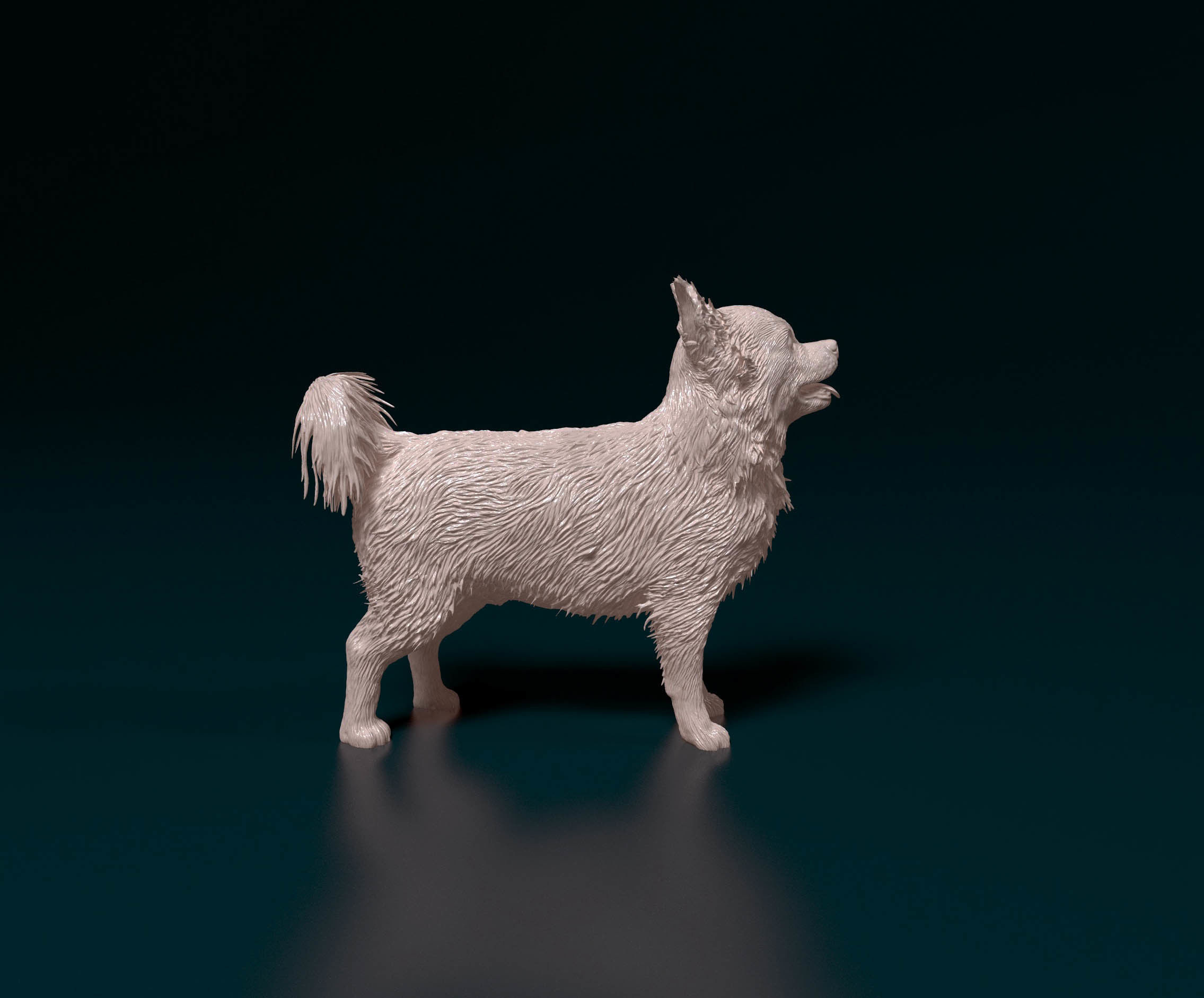 Chihuahua Long haired 6 3D print model_1