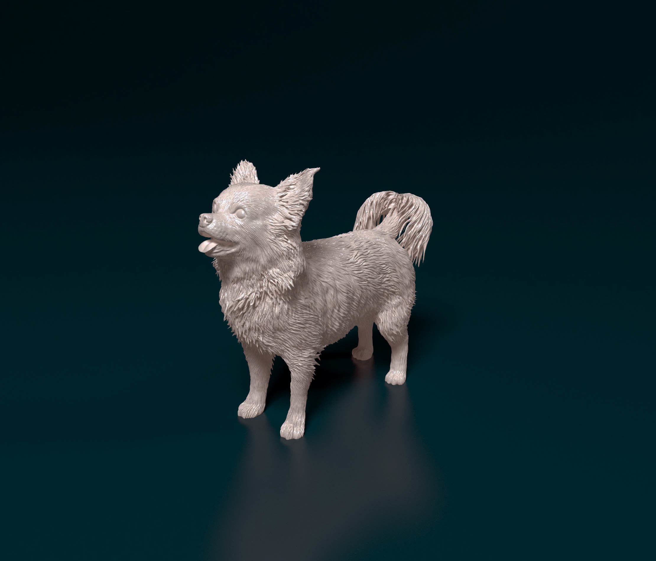 Chihuahua Long haired 6 3D print model_5