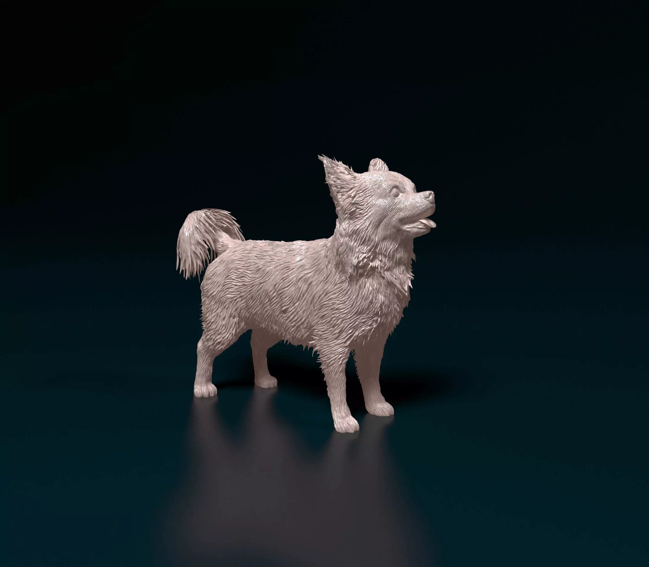 Chihuahua Long haired 6 3D print model_0