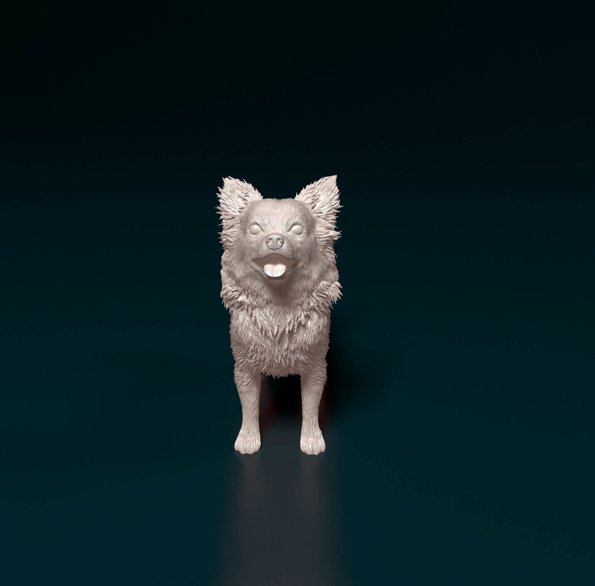 Chihuahua Long haired 6 3D print model_6