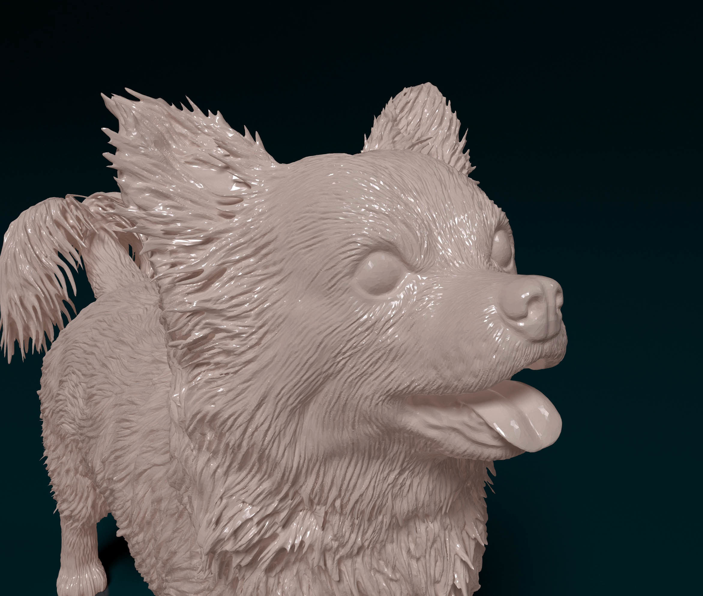 Chihuahua Long haired 6 3D print model_7