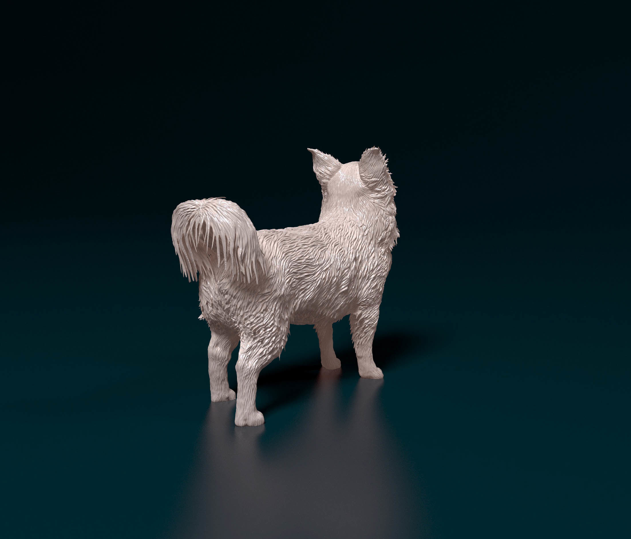 Chihuahua Long haired 6 3D print model_2