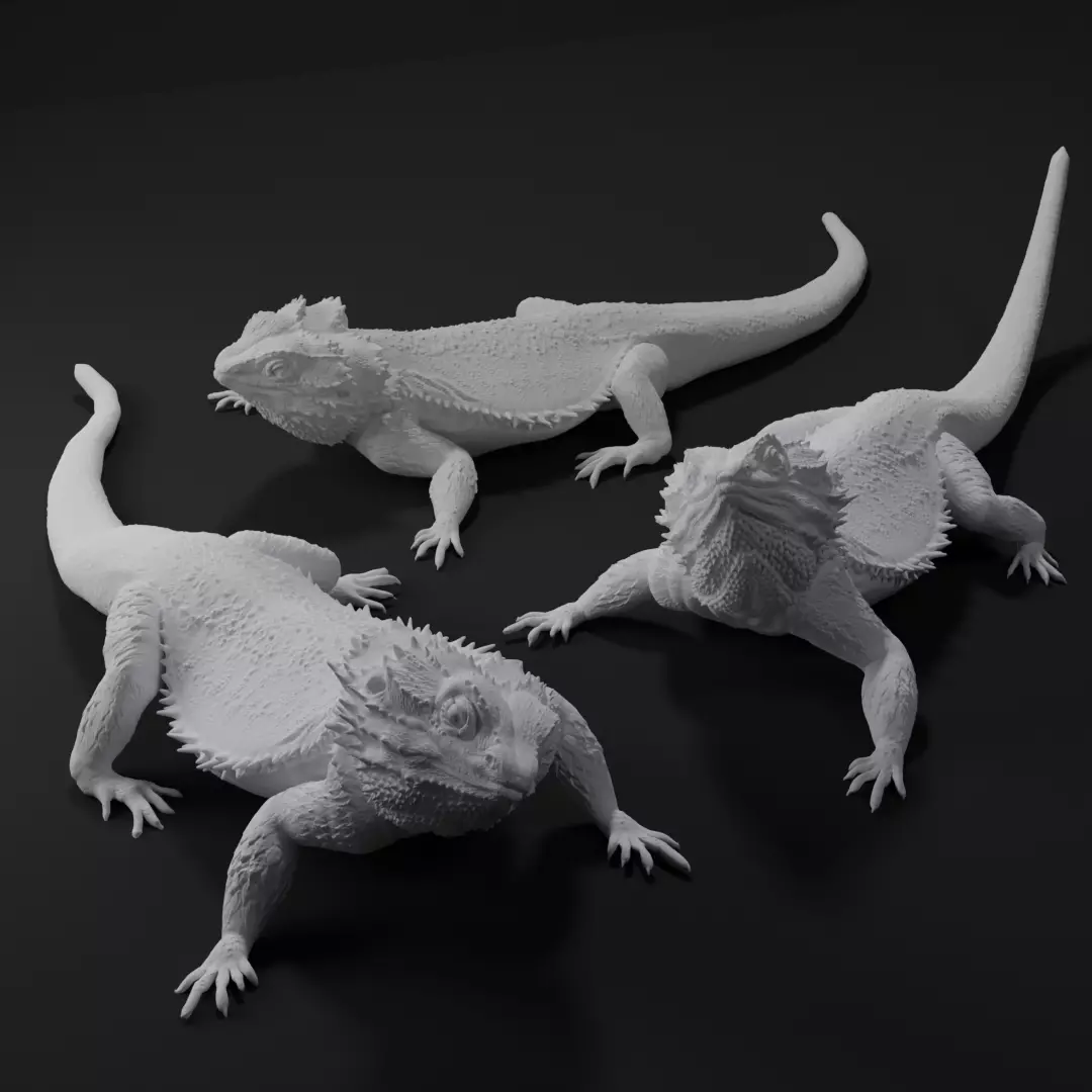 Bearded Dragon Realistic Lizard 3d print model 3D print model_0