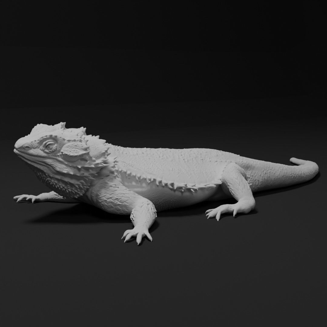 Bearded Dragon Realistic Lizard 3d print model 3D print model_5